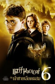 Harry Potter 6 (2009) แฮร์รี่ พอตเตอร์ กับ เจ้าชายเลือดผสม