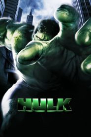 The Hulk (2003) มนุษย์ยักษ์จอมพลัง
