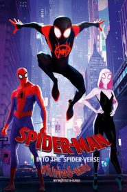 Spider-Man: Into the Spider-Verse (2018) สไปเดอร์-แมน: ผงาดสู่จักรวาล-แมงมุม