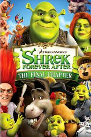 Shrek 4 (2010) เชร็ค 4 สุขสันต์ นิรันดร