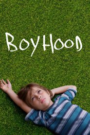 Boyhood (2014) บอย ฮูด