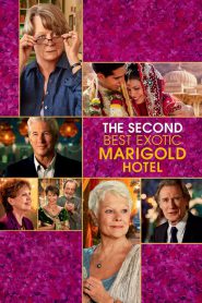The Second Best Exotic Marigold Hotel (2015) โรงแรมสวรรค์ อัศจรรย์หัวใจ 2