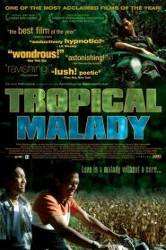 Tropical Malady (2004) สัตว์ประหลาด