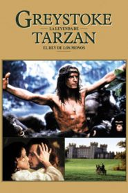 Greystoke The Legend of Tarzan, Lord of the Apes (1984) เกรย์สโตก ทาร์ซาน (Soundtrack)