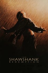 The Shawshank Redemption (1994) มิตรภาพ ความหวัง ความรุนแรง