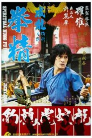 Spiritual Kung Fu (1979) ไอ้หนุ่มพันมือ 2