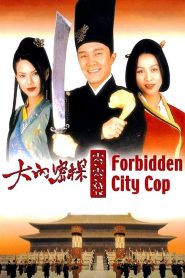 FORBIDDEN CITY COP (1996) สายไม่ลับคังคังโป๊ย