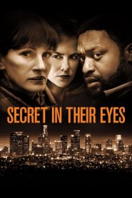 Secret in Their Eyes (2015) ลับ ลวง ตา [ซับไทย]