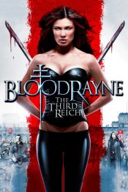BloodRayne: The Third Reich (2010) ผ่าภิภพแวมไพร์ 3