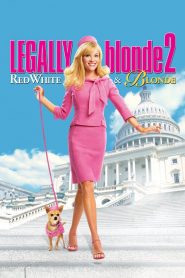 Legally Blonde 2 (2003) สาวบลอนด์หัวใจดี๊ด๊า ภาค 2