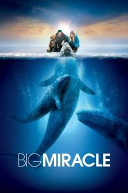 Big Miracle (2012) ปาฏิหาริย์วาฬสีเทา